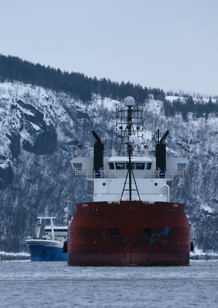 - Ну давай, показывай, кто тебя обидел?