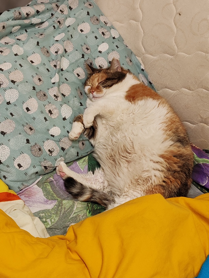       , , , , , ,  , ,  ,   