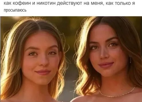     , , , , , , ,  , Telegram ()