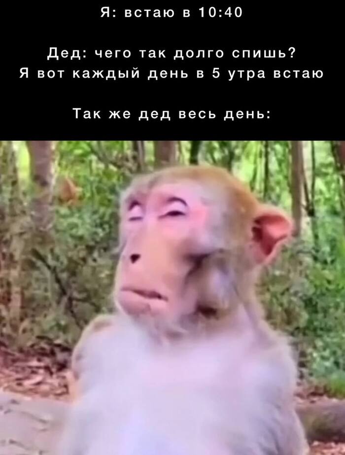 ������� �������)