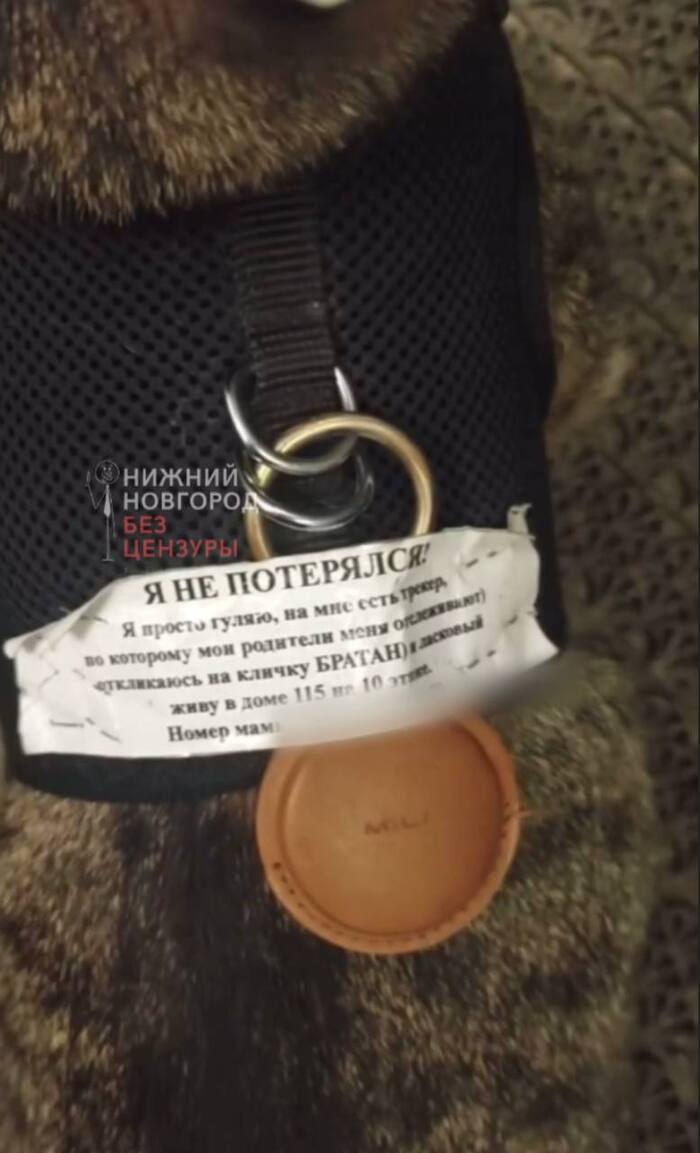   ,   , ,  , ,  , ,  , ,  