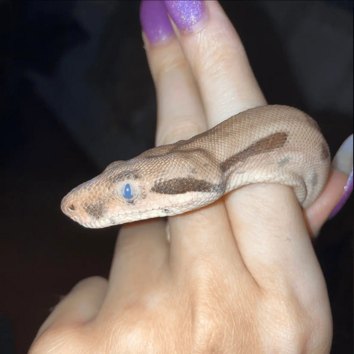 потом так, до голубизны