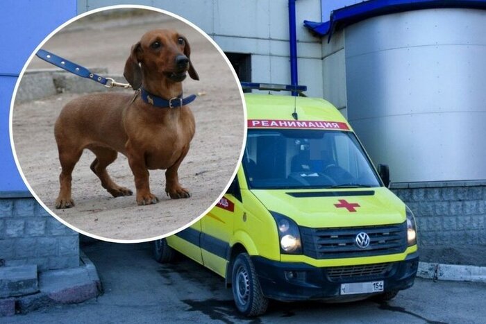 ����� �� ���� ����� �����: ���������� ������������ �������� ����������� �����, � ��� �������� ������������� ������� � ��������