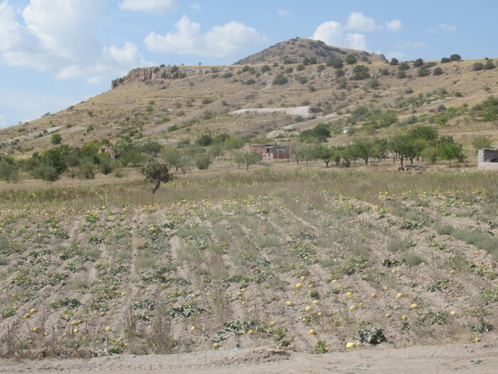  .   .        .      30-50