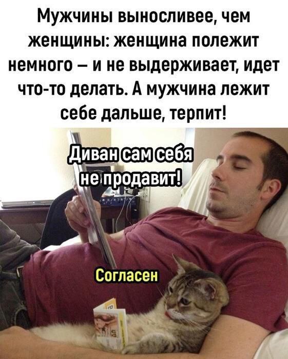    , ,   , , , , , Telegram (), 
