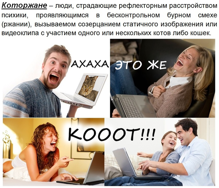 Терминология