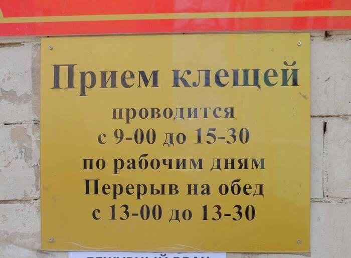 � �������, �����, � �������!