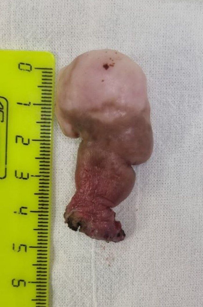 ? ?     ,  - ,    49,5 ...