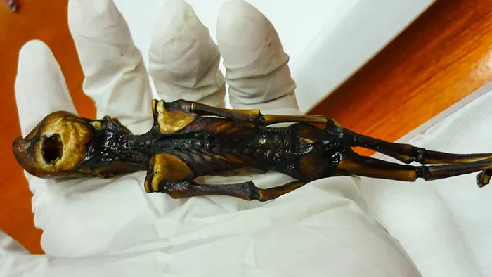 Alien Geography: Where in the World Have “Alien Mummies” Been Found? - Planet Earth, Land, Longpost