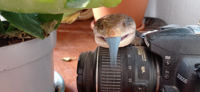 ,    ,   .   ,       .  ,         .