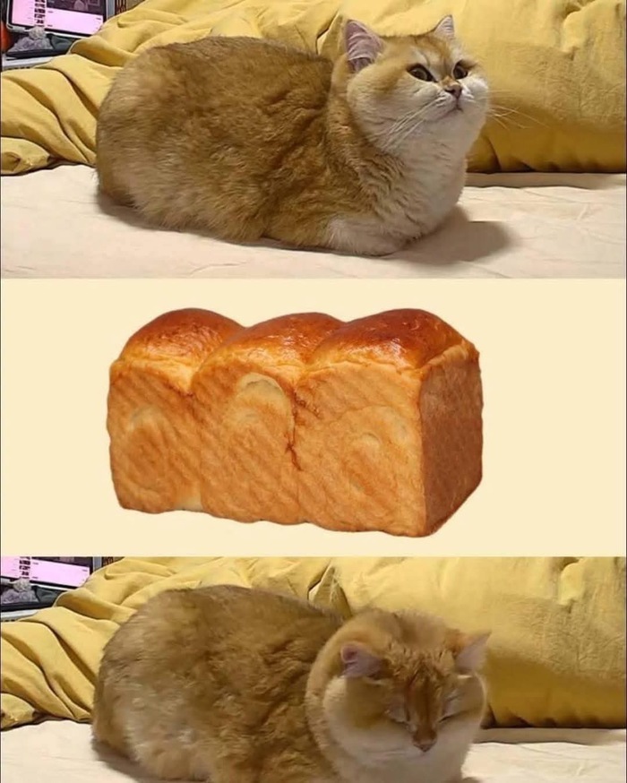  , 