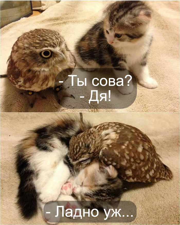    ))) , , ,   , 