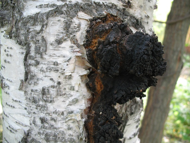 ��� ����, ��� ������ � ������ �������, � ������ ������ � ����-����������