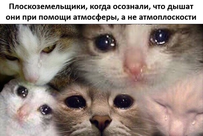   ! ,   ,  , , , , , , Telegram ()