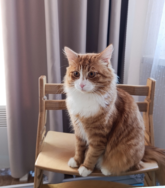 ������ ������� ������� �����