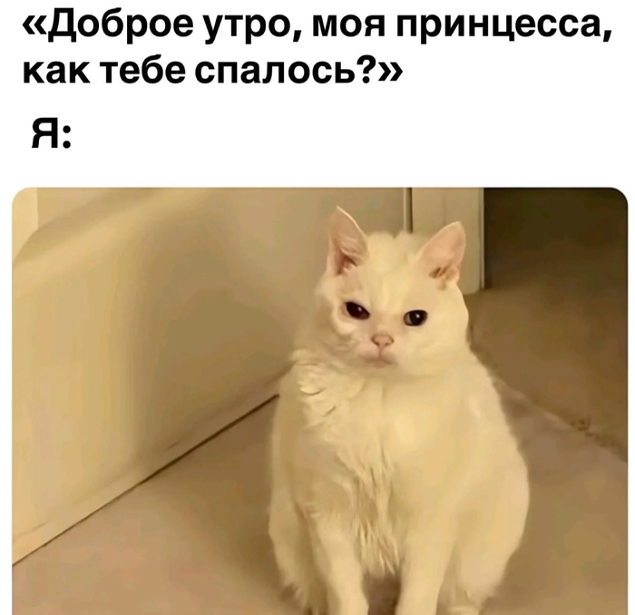 , , 