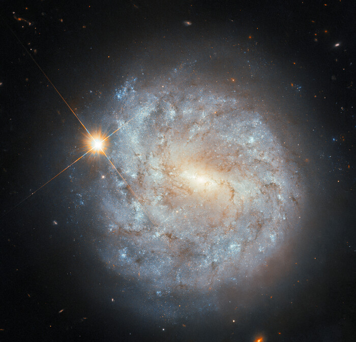 Галактика NGC 4900