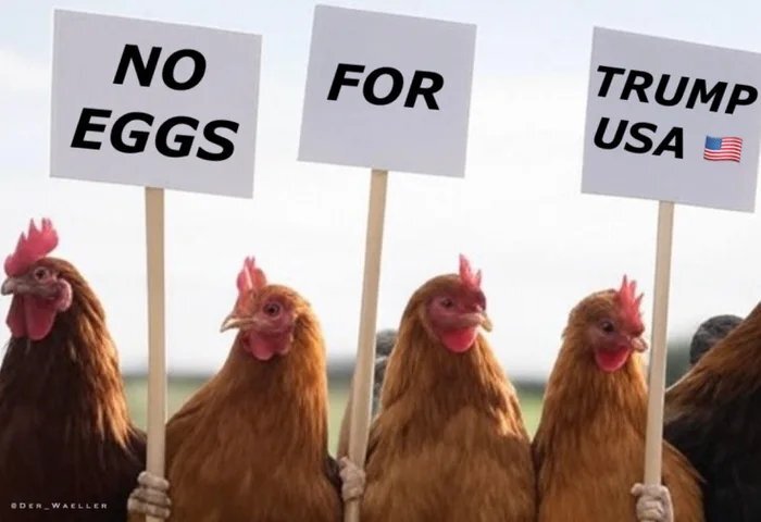 � ��� ��� ����