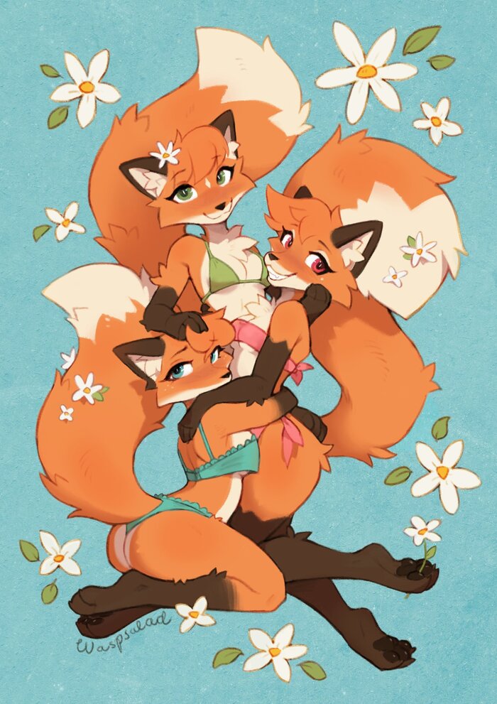  , , , Furry edge, Furry Fox, Waspsalad