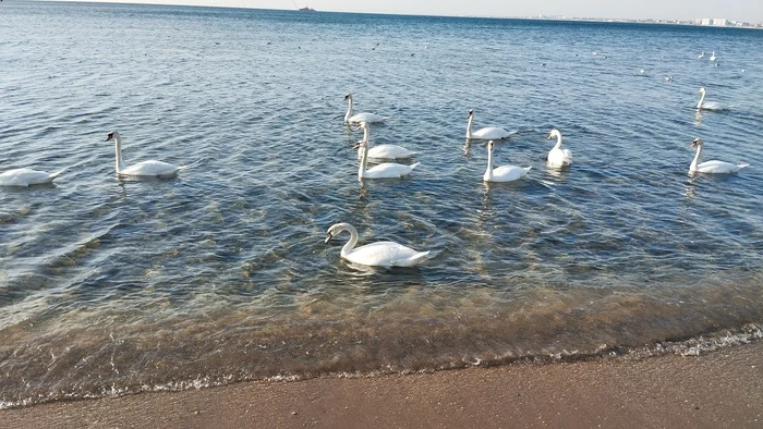 Anapa, March, +20 - My, Beach, Anapa, Spring, No filters, Sea, Black Sea, Longpost
