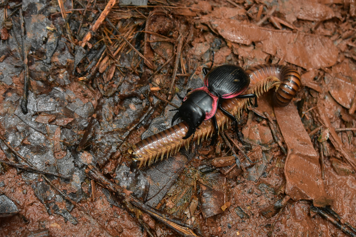       .          .        .