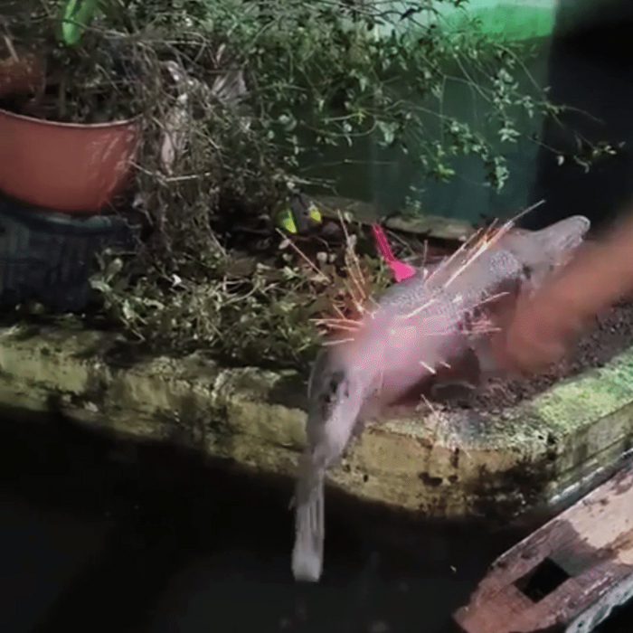 А вы думали, мы тут шутки шутим? И в самом деле искры выбивает!