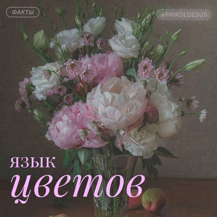        ))0))  , , 