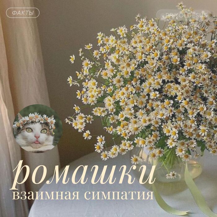        ))0))  , , 
