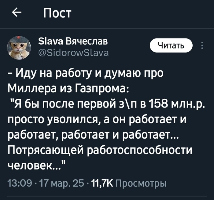 ���� �������