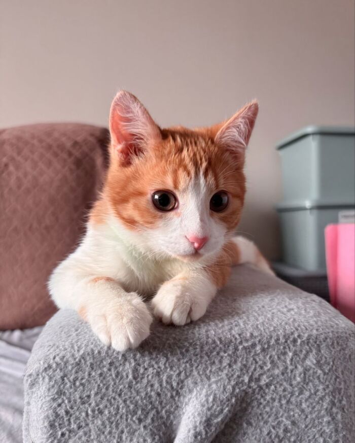 , !    ,     .     !   , , , ,  , ,  , ,   , ,  ,  , 