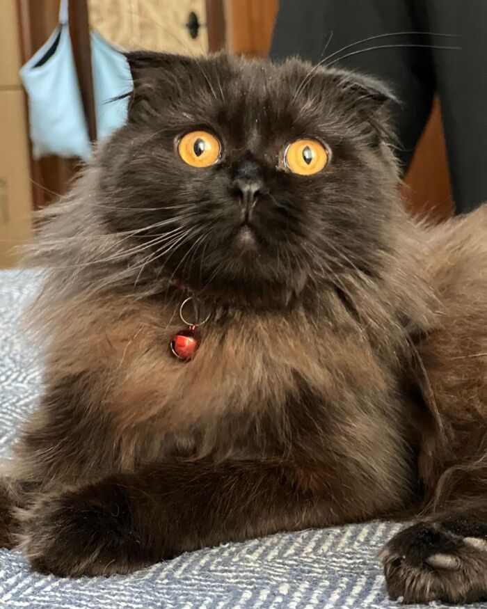 , !     ! ,  , ,   , ,  , ,  , ,   ,  ,  , ,  ,  , 
