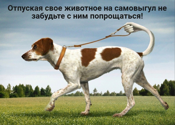 Картинка из просторов свободного интернета