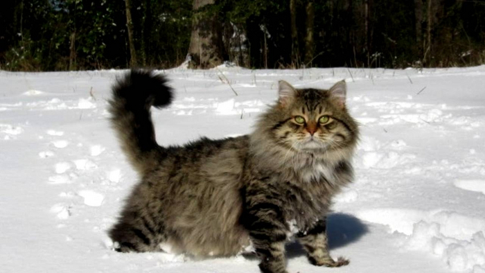      . ,        .    ,   ,   .