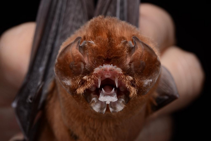 Ты хочешь мне что-то сказать? Кстати, а где ты?