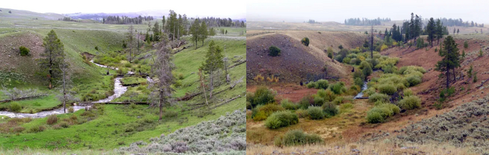  2015         .    2    ,       !