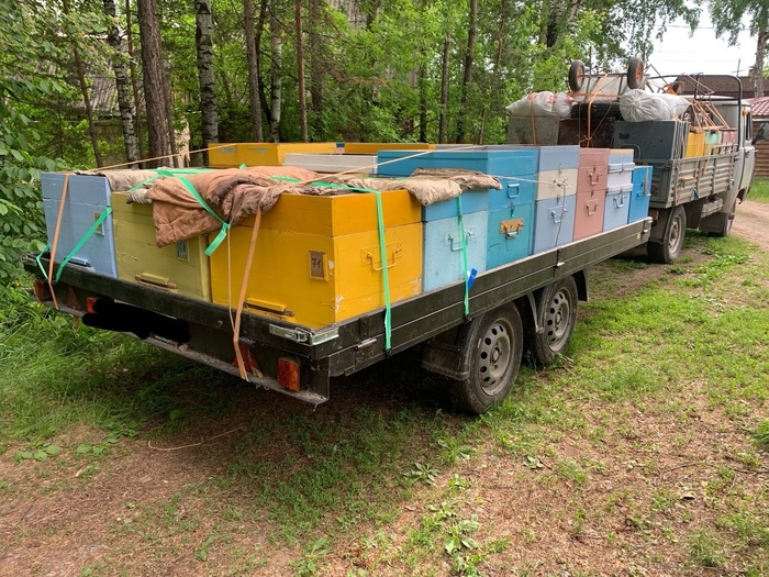 ����� ����