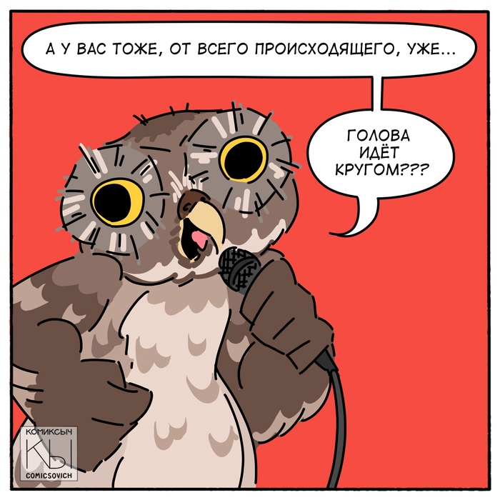 Когда смотришь новости