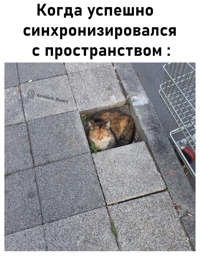   , , , ,   , , 