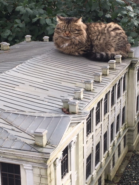 �������� ���� ����� � �����������