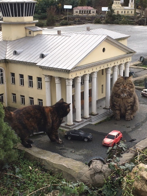 �������� ���� ����� � �����������