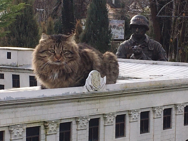 �������� ���� ����� � �����������