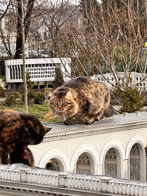 �������� ���� ����� � �����������