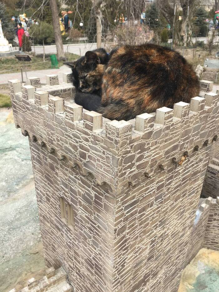 �������� ���� ����� � �����������