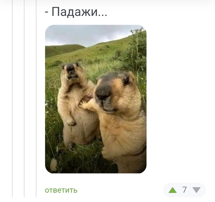 <a href="https://pikabu.ru/story/vot_ono_cho_12507565?u=https%3A%2F%2Fpikabu.ru%2Fstory%2Fzvonok_tramp_12506039%3Fcid%3D344978416&t=%23comment_344978416&h=cf01492428f21a78d0a71e11d74ba2f093261d45" title="https://pikabu.ru/story/zvonok_tramp_12506039?cid=344978416" target="_blank" rel="noopener">#comment_344978416</a>