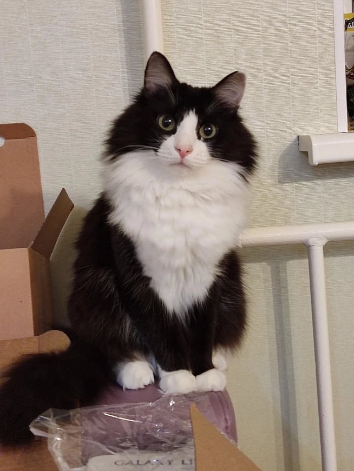 Макс, как и обещал, только позже