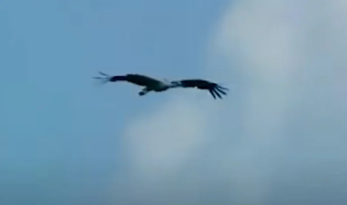 Как снимали фильм Белые росы: кадры со съемок и интересные факты Фото со съемок, Актеры и актрисы, Ностальгия, Классика, Белые росы, Николай Караченцов, Станислав Садальский, Советское кино, Знаменитости, Яндекс Дзен (ссылка), Советские актеры, Фильмы 80-х, Длиннопост Как снимали фильм Белые росы: кадры со съемок и интересные факты Фото со съемок, Актеры и актрисы, Ностальгия, Классика, Белые росы, Николай Караченцов, Станислав Садальский, Советское кино, Знаменитости, Яндекс Дзен (ссылка), Советские актеры, Фильмы 80-х, Длиннопост