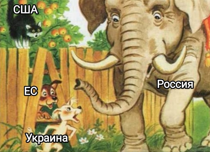 2014 