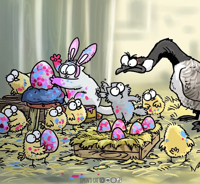 Это что за фокусы?