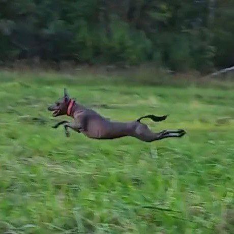      -  ,  : &quot;׸ ?&quot;