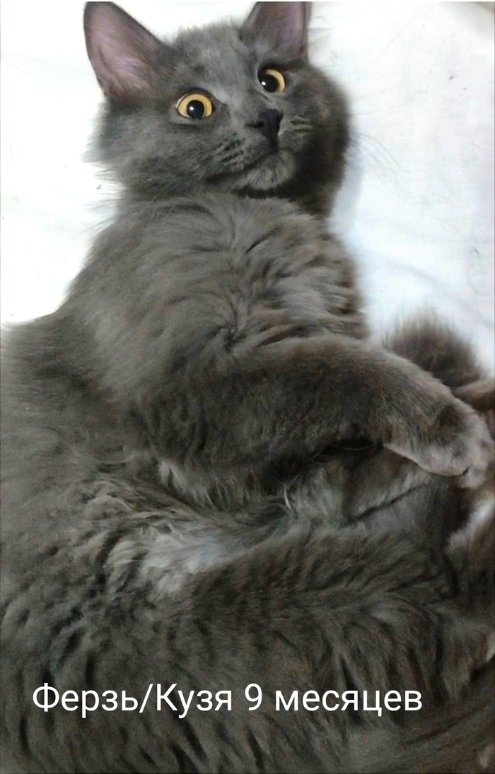 ������� ���� �� ��������� � �������.